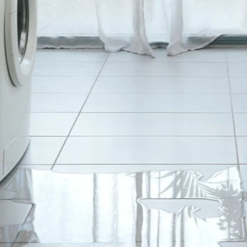 Appliance Leak Cleanup in Mobile, AL