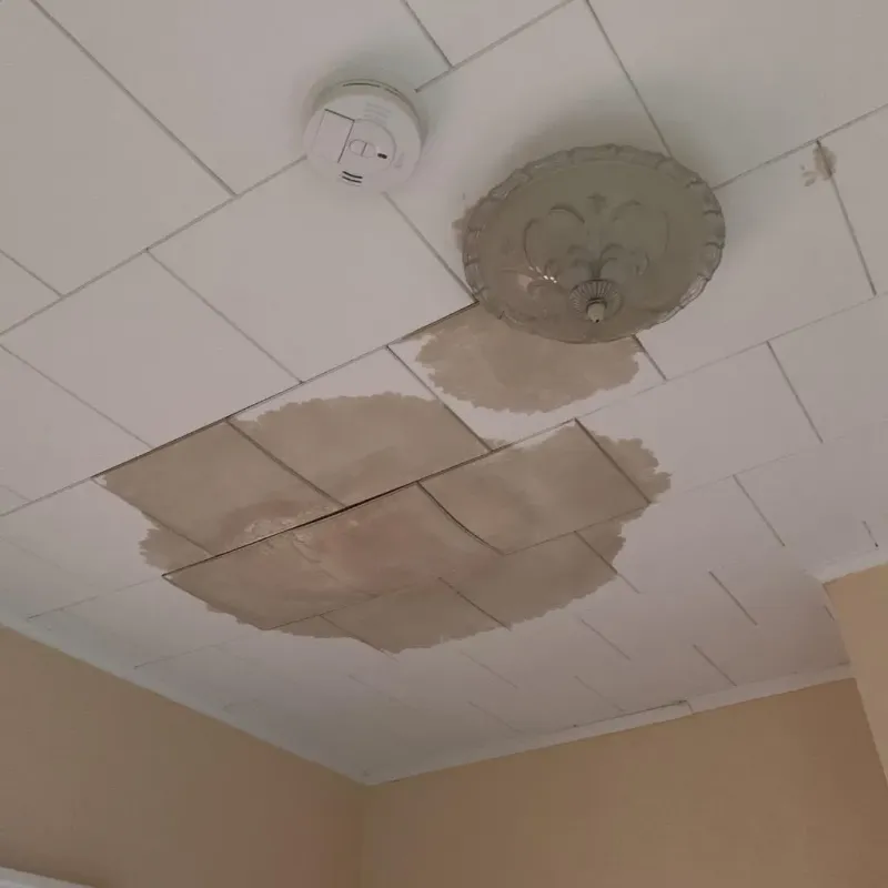 Ceiling Water Damage Repair in Mobile, AL
