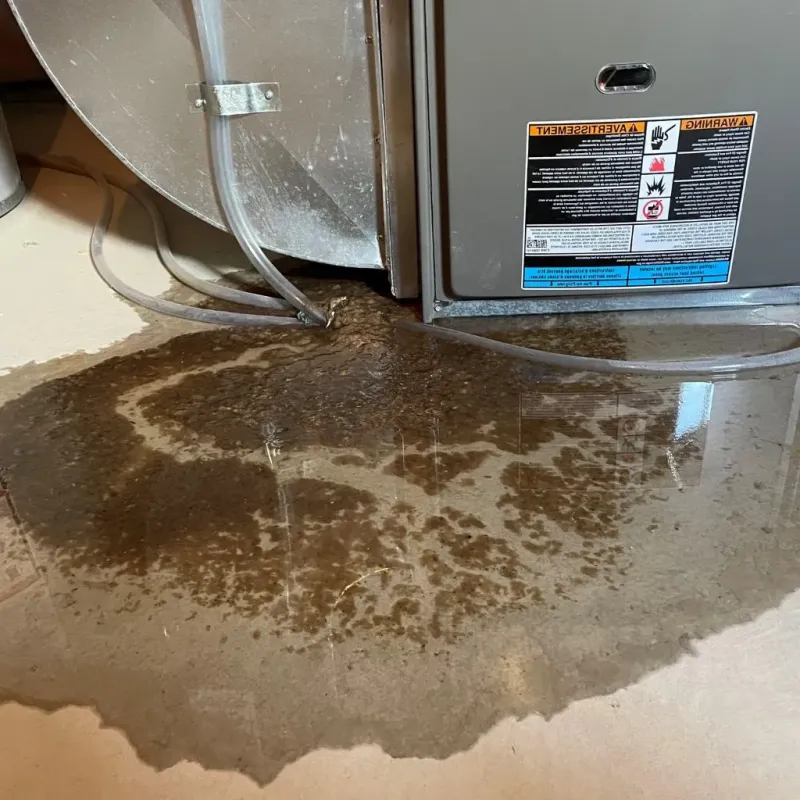 Pipe Burst and Leak Restoration in Mobile, AL